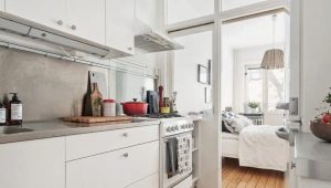 How to equip a kitchen-bedroom?