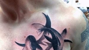 Review of male tattoos with the zodiac sign Pisces