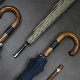 Men's cane umbrellas: an overview of models, tips for choosing