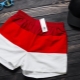 Choosing men's shorts Lacoste