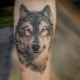 Όλα για τα τατουάζ αντρικών λύκων