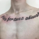 Variety of men's tattoos in the form of inscriptions on the sternum